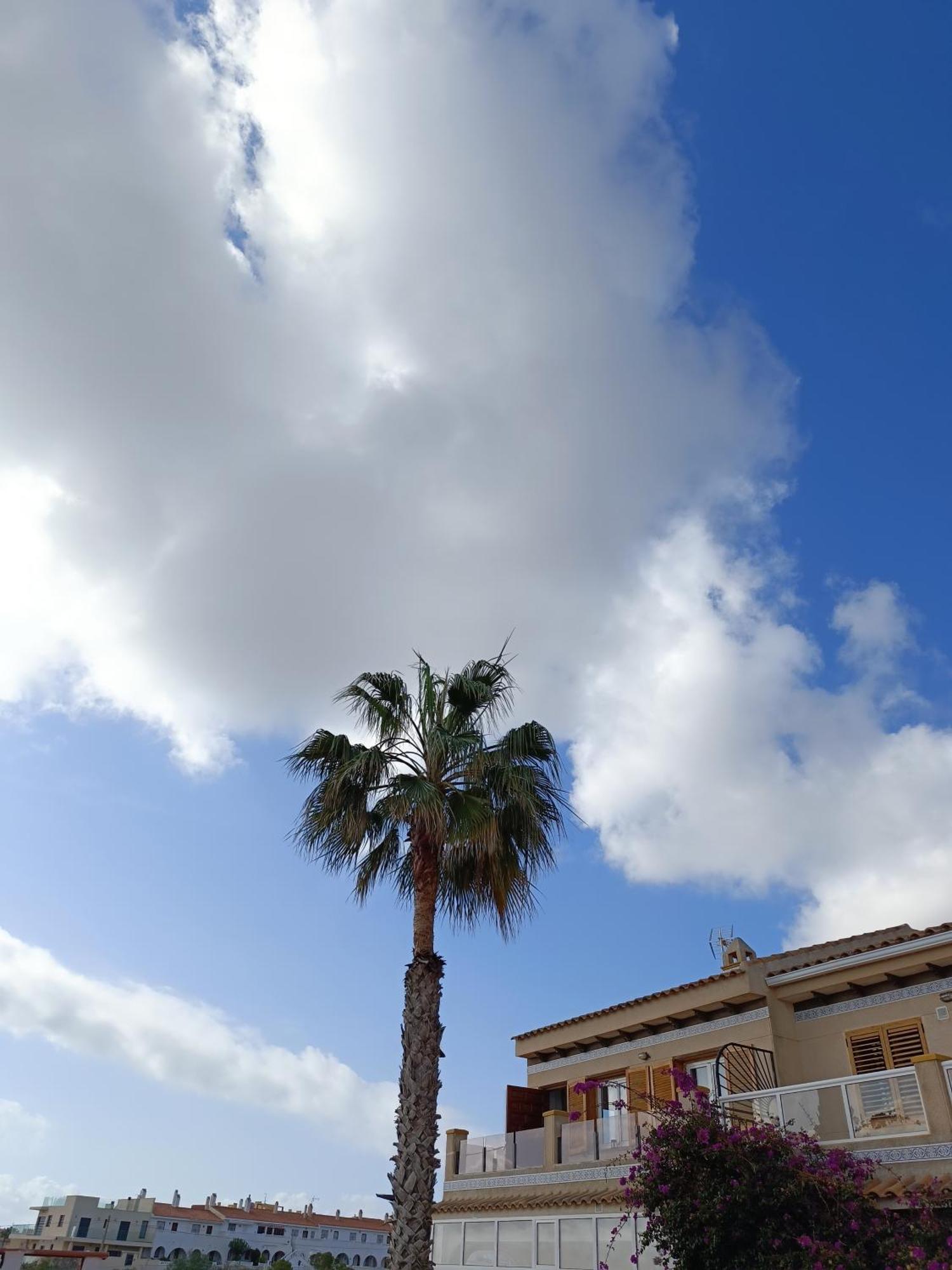 Rising Sun Bungalow 또레비에하 외부 사진
